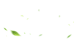 Green Light Spots - Curated PNG