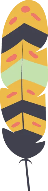 Feather - design - PNG