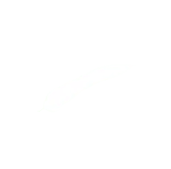 Feather - birds - Free PNG