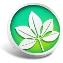 Leaf Icon - plant - No Background PNG