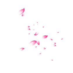 Pink Petals - art - PNG Images