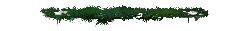 Green Plants - growth - Curated PNG