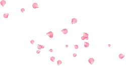 Pink Petals - decoration - background - Free Download PNG