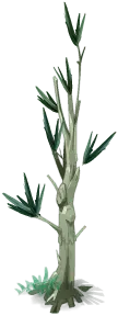 Bamboo Tree - nature - PNG