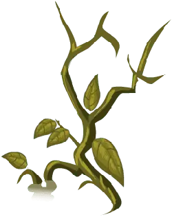 Vine Plant - growth - Free PNG