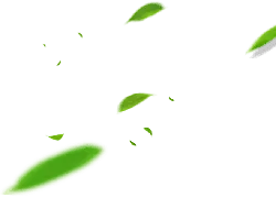 Green Leaves - green leaves - PNG Images