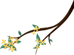Osmanthus Branch - green - PNG Images