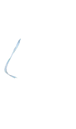 Apple - smooth - Trending PNG