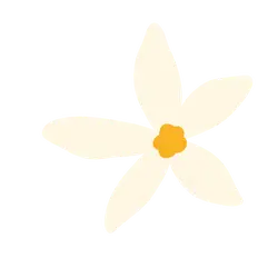 Five-petal Flower - white - Free PNG