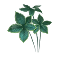 Clover - Recommended PNG - ecology