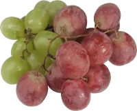 Grapes - purple - Curated PNG