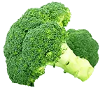 Broccoli - healthy food - Free for Commercial Use PNG