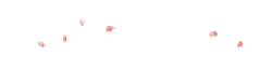 Petals - lightweight - Designer's Pick PNG