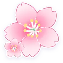 Free Download PNG - Cherry Blossom - flower