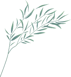 Bamboo Leaves - artwork - PNG Images