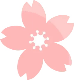 Cherry Blossom - PNG Images - Transparent Background PNG