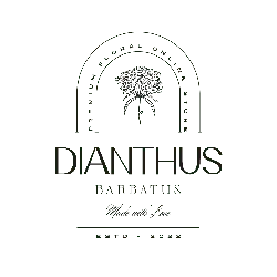 Dianthus barbatus - handmade - No Background PNG