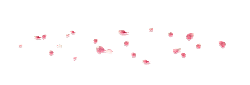 Pink Petals - falling - Free PNG