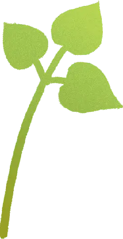 Clover - No Watermark PNG - growth