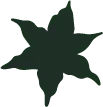 Green Star Pattern - abstract art - Free Download PNG
