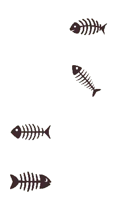 Fish Skeleton - design - Transparent Background PNG