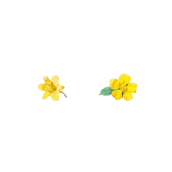 Yellow Flowers - nature - life - PNG Images