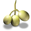 Grape - Transparent Background PNG