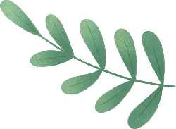 Leaf - branch - leaf - Transparent Layer PNG