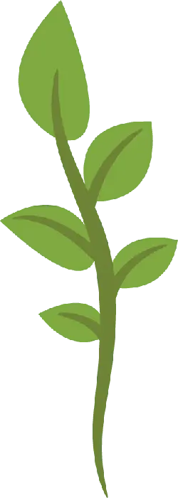 Green Leafy Branch - Transparent Layer PNG