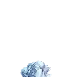 Blue Rose - rose - Fast Download PNG