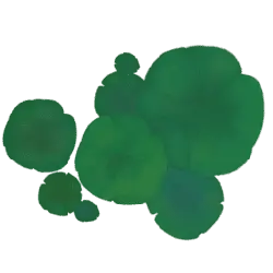 Green Droplets - colorful - High Resolution PNG