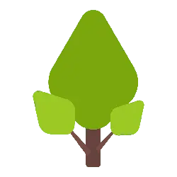 Tree - Transparent Background PNG - ecology