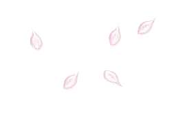 Pink Falling Leaves - nature - No Background PNG