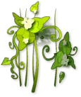 Clover - flowers - plant - PNG