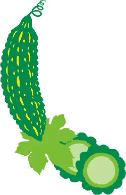 Cucumber - nutrition - green - Free PNG