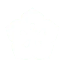 Plum Blossom - simple - Transparent Background PNG
