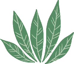 Marijuana Leaf - Highly Rated PNG