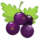 Grape - High Download Count PNG