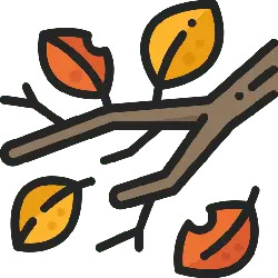 Autumn Leaves Branch - falling leaves - Free Download PNG