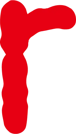 Red Abstract Shape - High Quality PNG