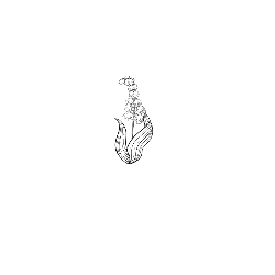 bird - Black Owl - No Watermark PNG - Pic 11
