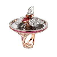 Butterfly Ring - ruby - PNG Images