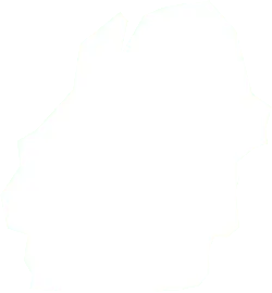 White Irregular Shape - geometric shape - No Watermark PNG