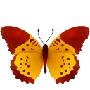Red and Yellow Butterfly - nature - Transparent Background PNG