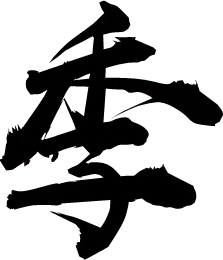 PNG - nocturnal animal - Black Owl - Pic 1
