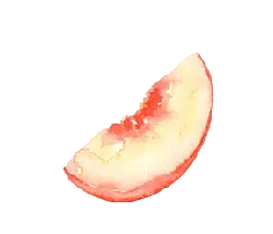 Peach - Designer Recommended PNG - red