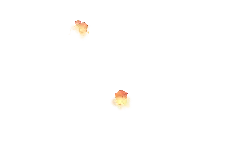 traditional - Lantern - Transparent Background PNG