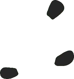 Clover - lucky - Trending PNG