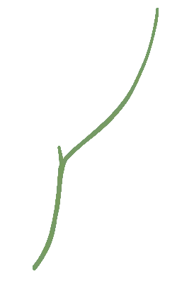 Branch - growth - Free Download PNG