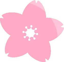 flower - PNG - Cherry Blossom